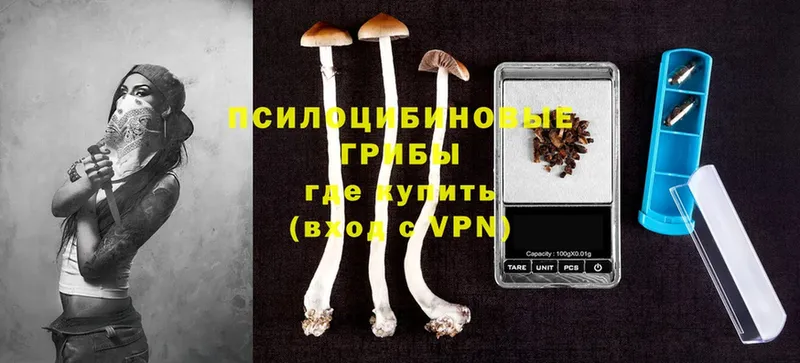 как найти закладки  Менделеевск  Галлюциногенные грибы Psilocybe 